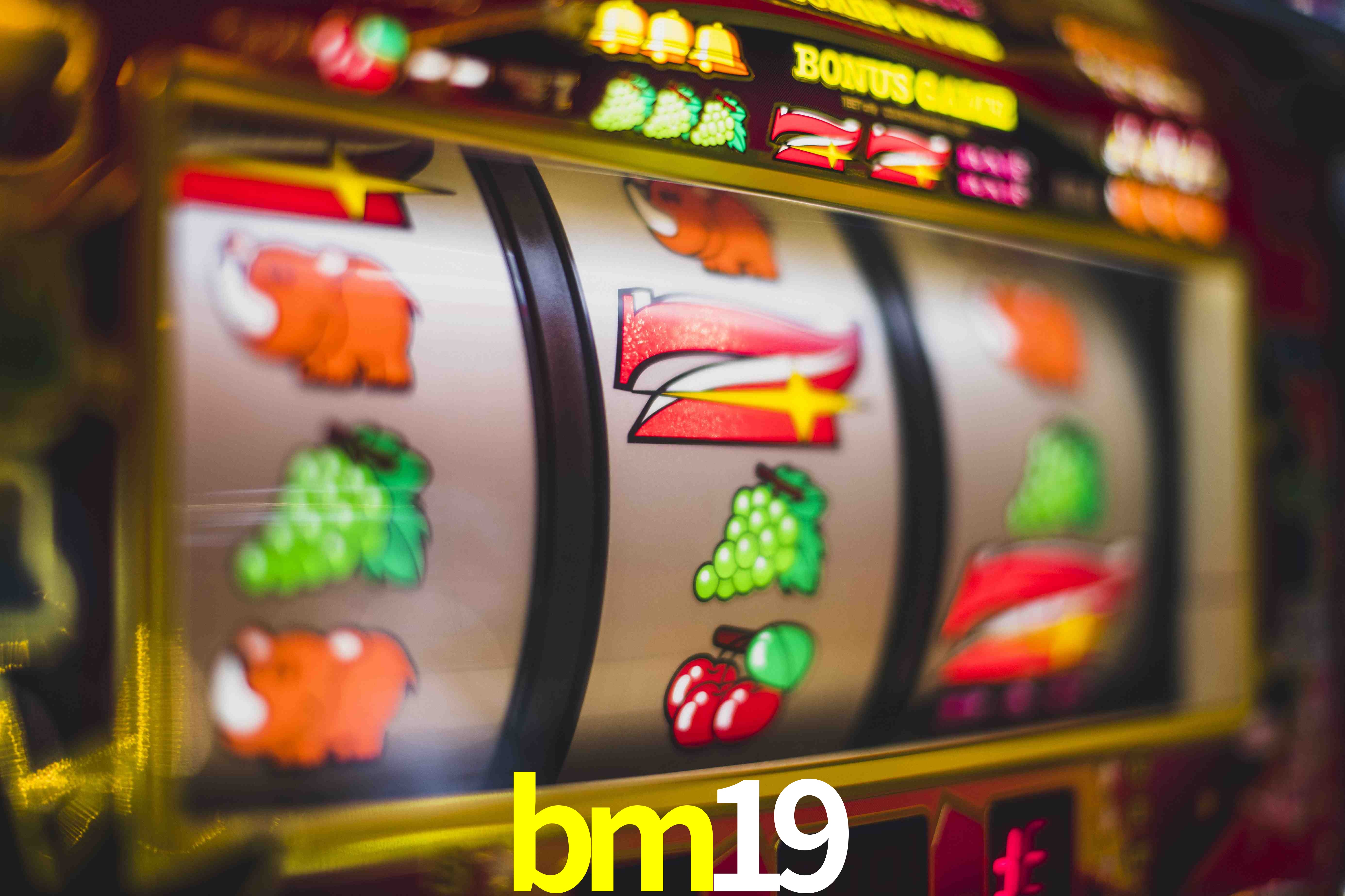 Statistics bm19