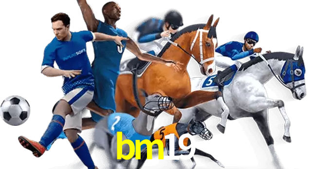 bm19