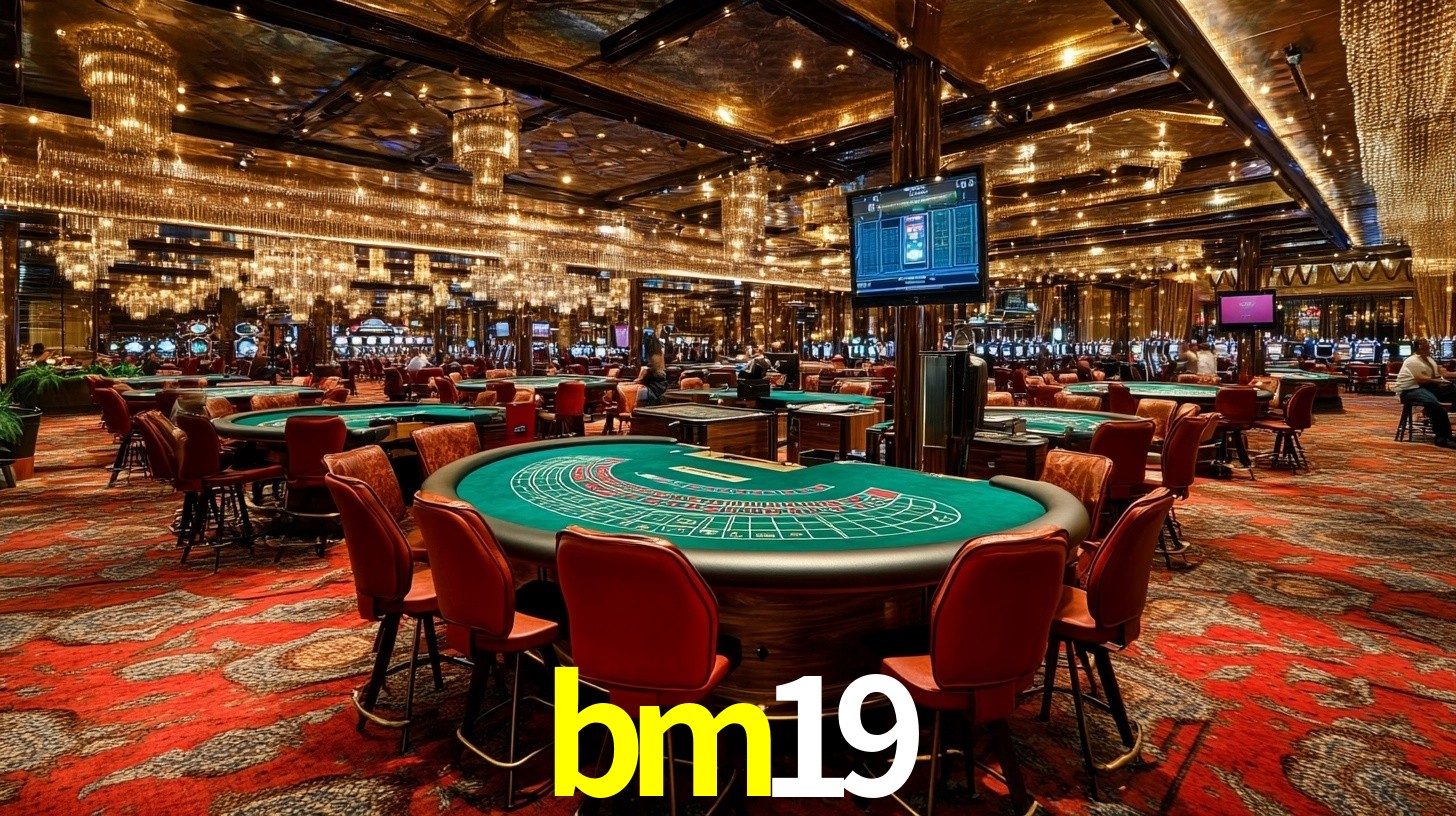 bm19