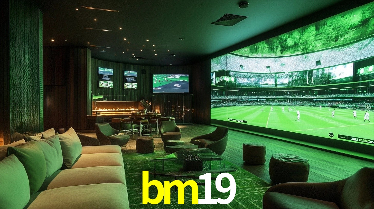 bm19.com